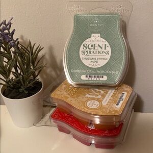 New🌈 Scentsy Wax Bar Bundle “winter scents”